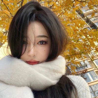 护照