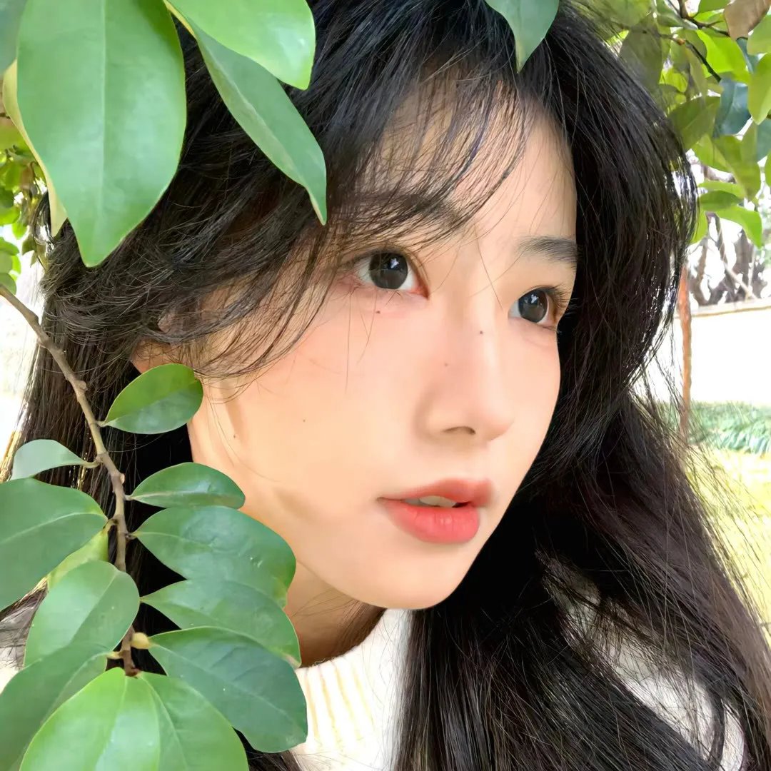 花都剪影